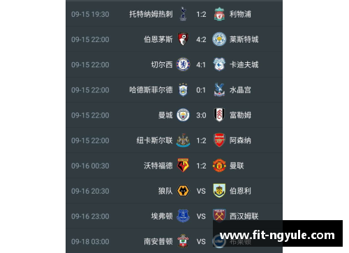 ng娱乐曼联客场力克卡迪夫城，继续领跑积分榜 - 副本